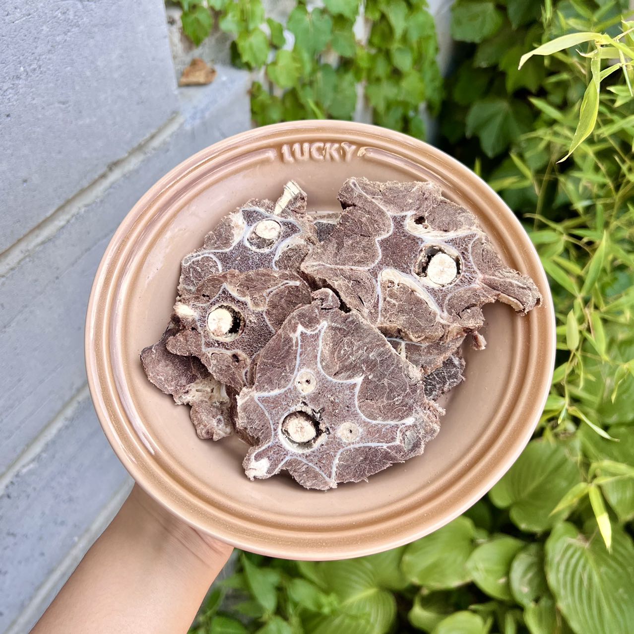 Freeze-Dried Whole Deer Neck