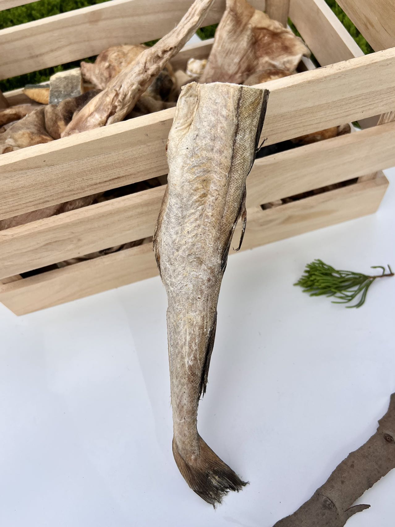 Freeze-Dried Whole Cod Fish