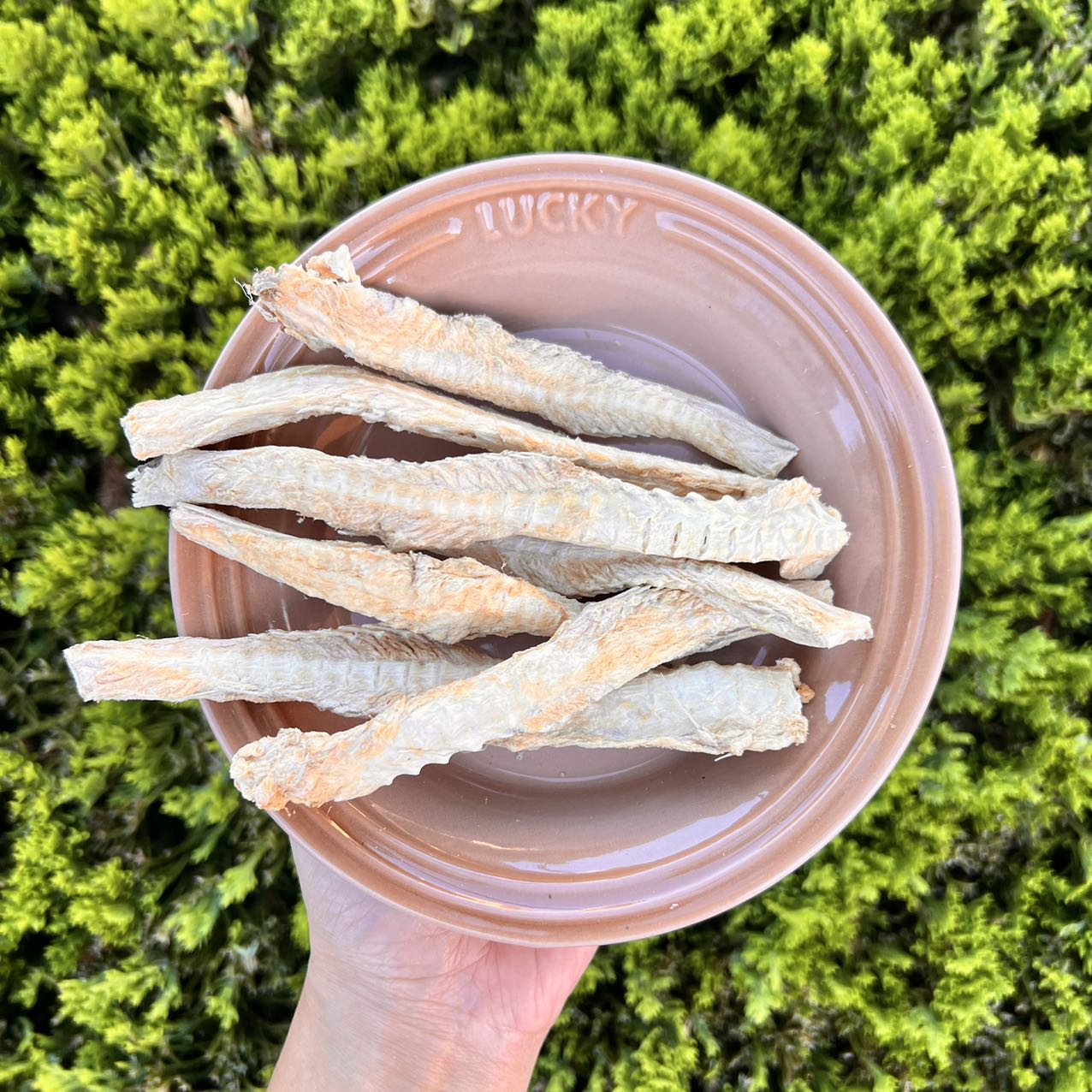 Freeze-Dried Monkfish Bones