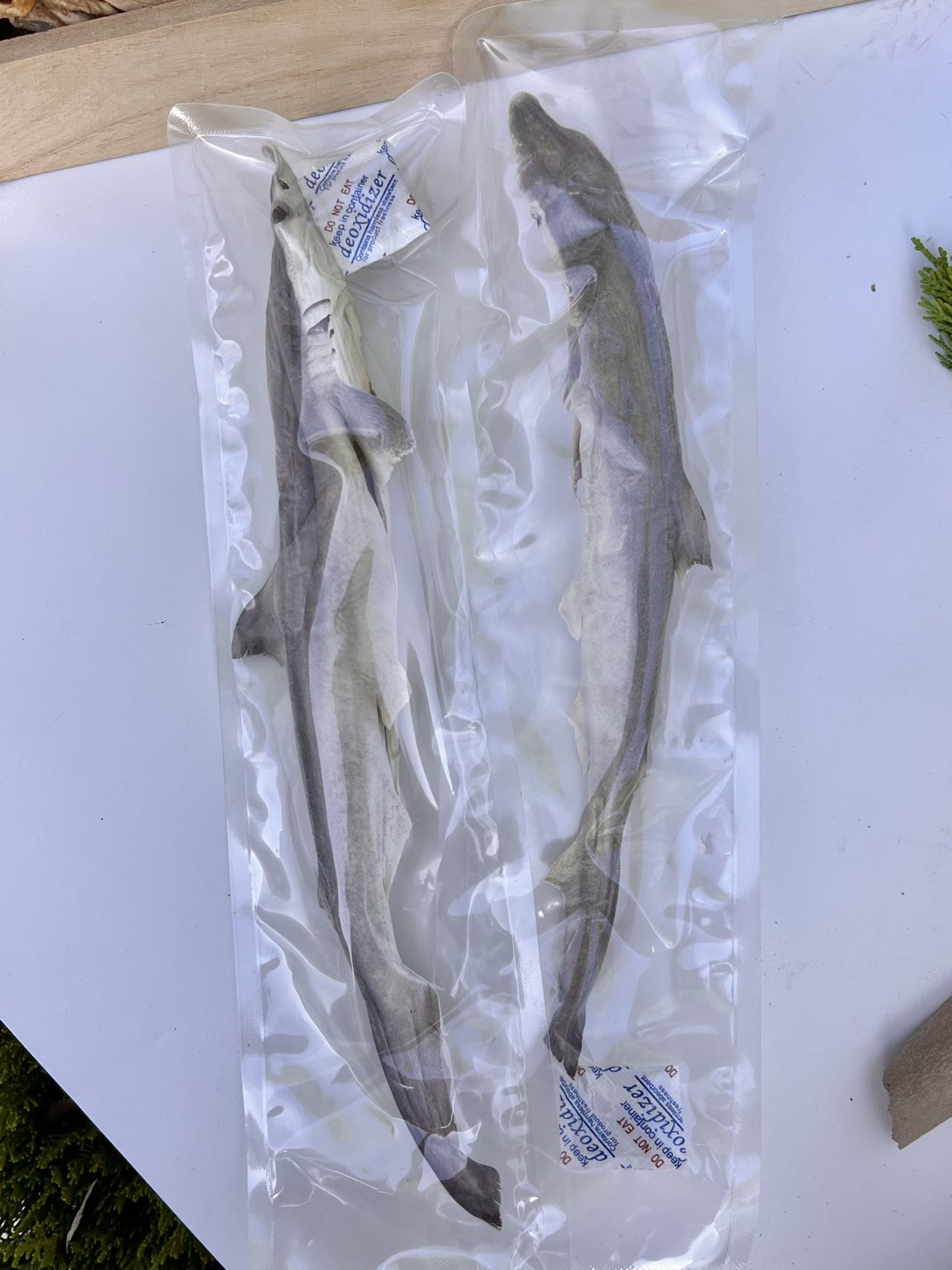 Freeze-Dried Whole Small Shark