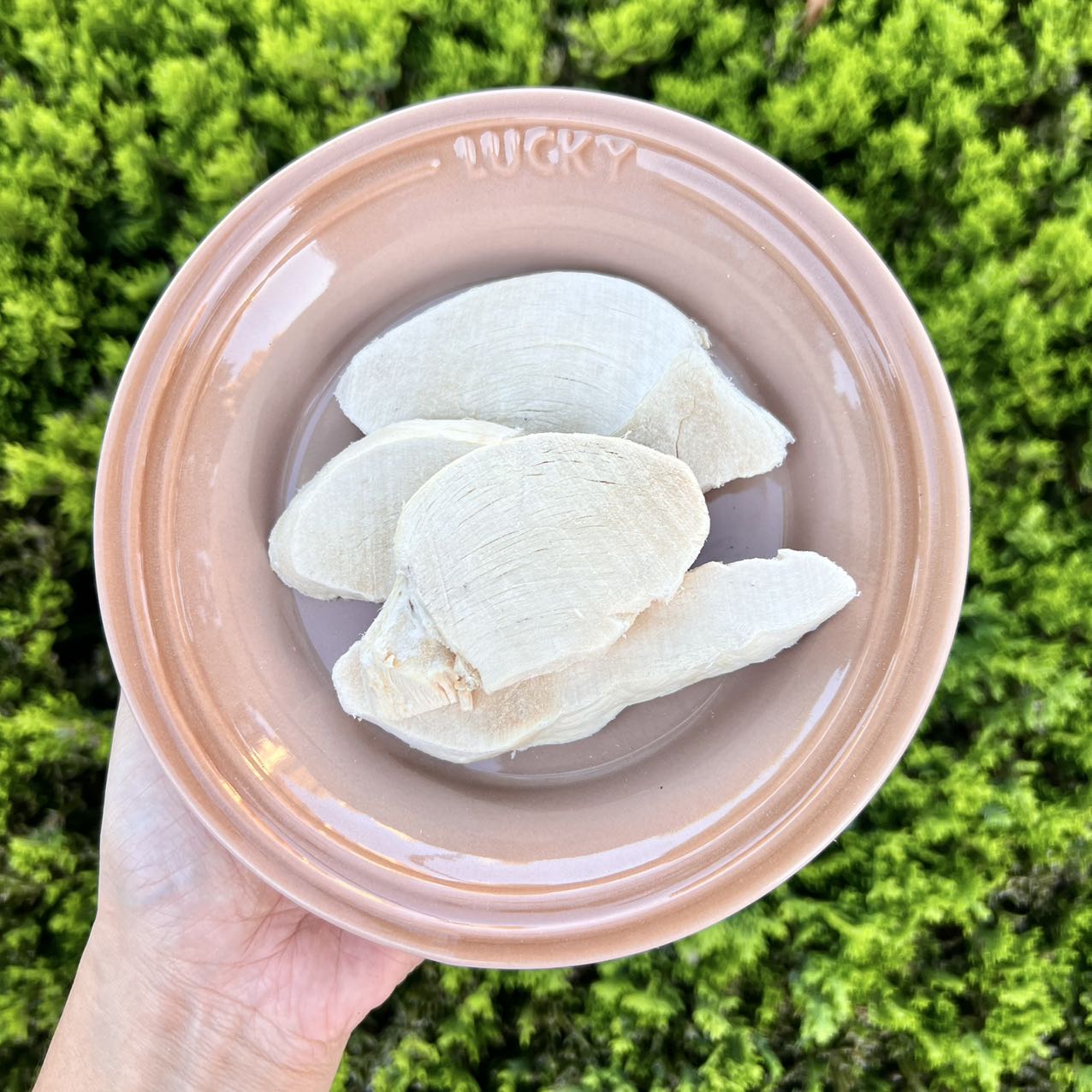 Freeze-Dried Thick Cut Chicken Breast