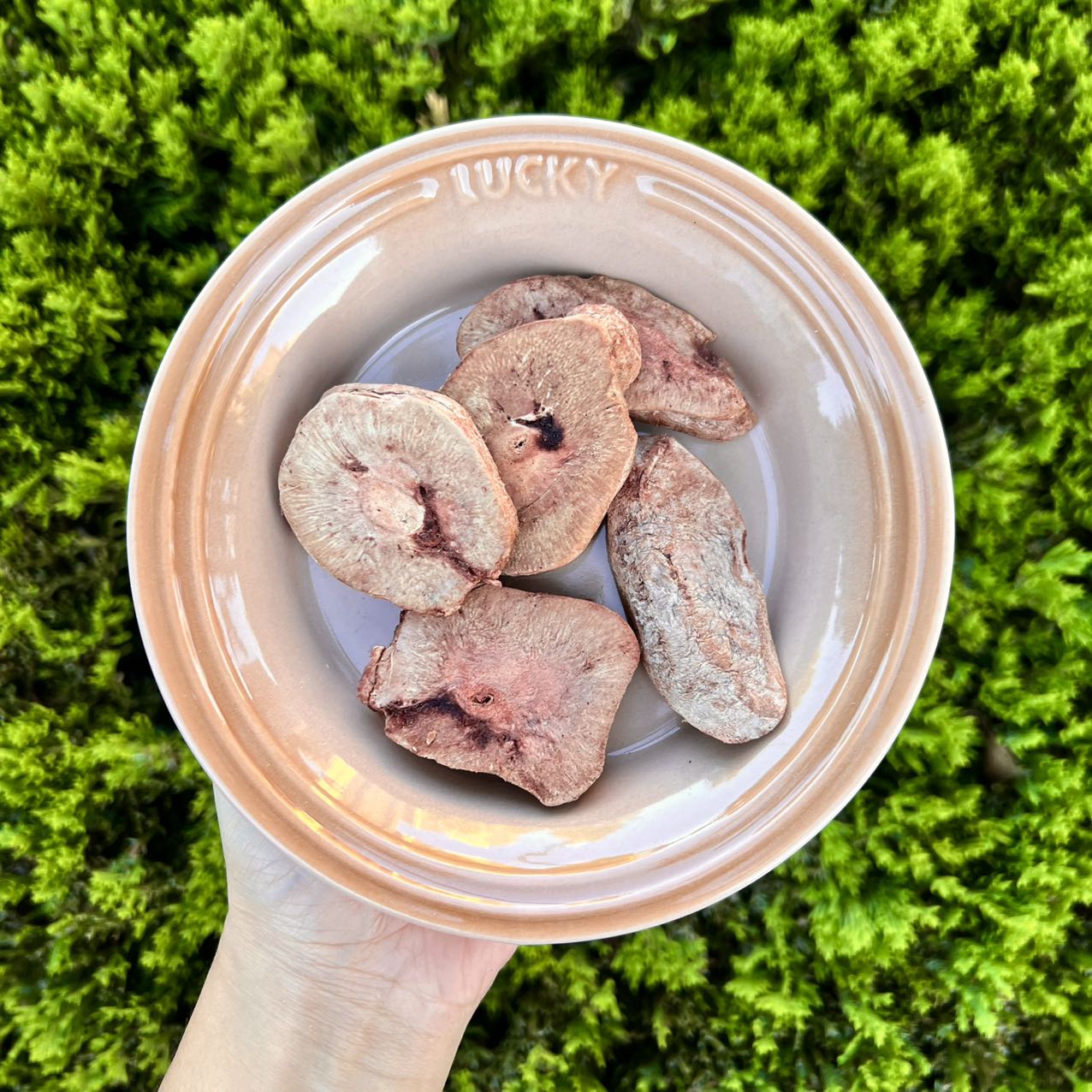 Freeze-Dried Beef Kidney