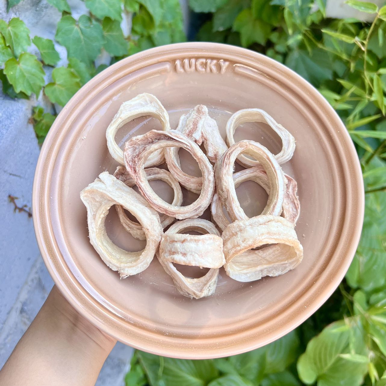 Freeze-Dried Beef Trachea