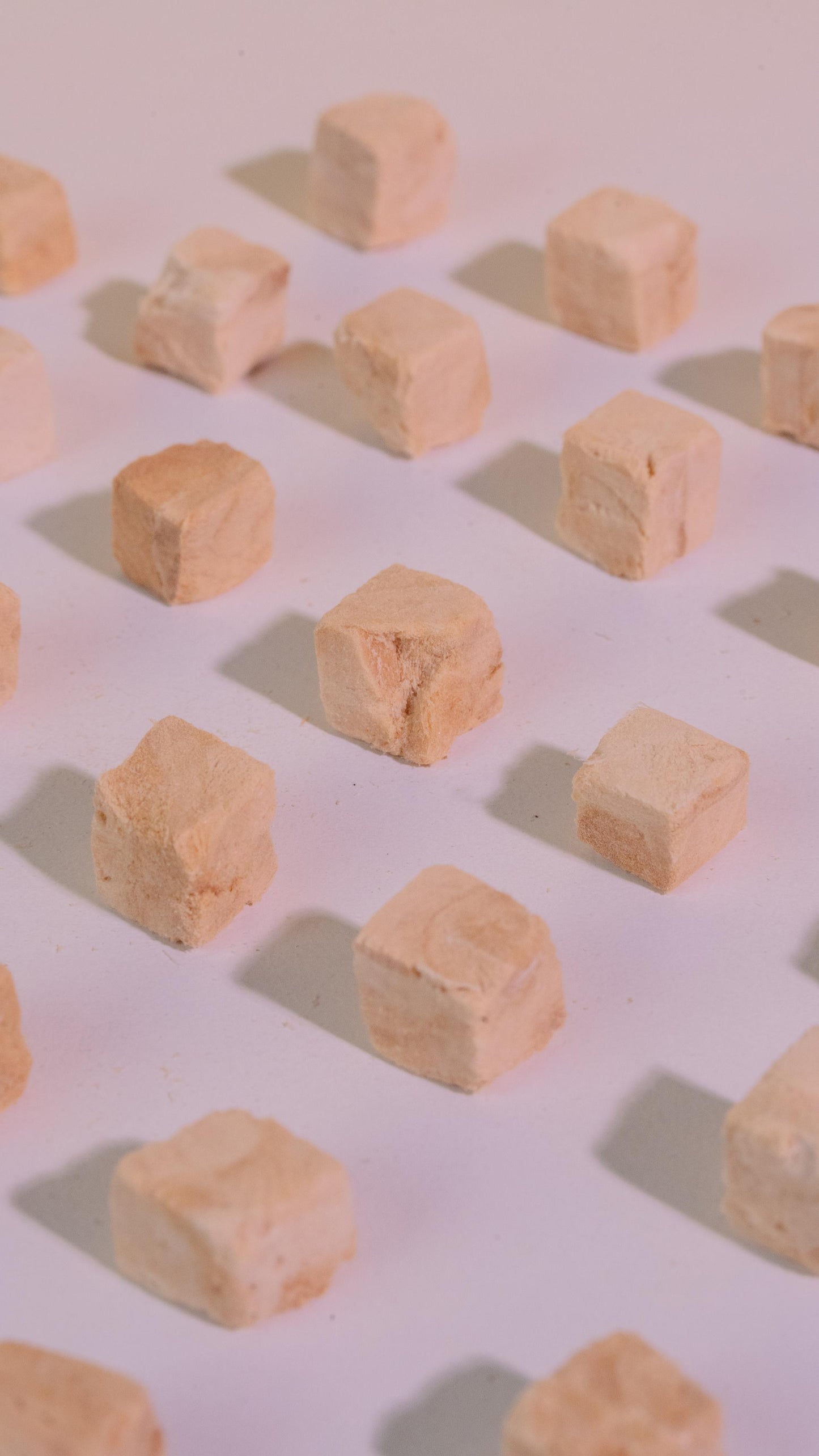 Freeze-Dried Chicken Breast Bites