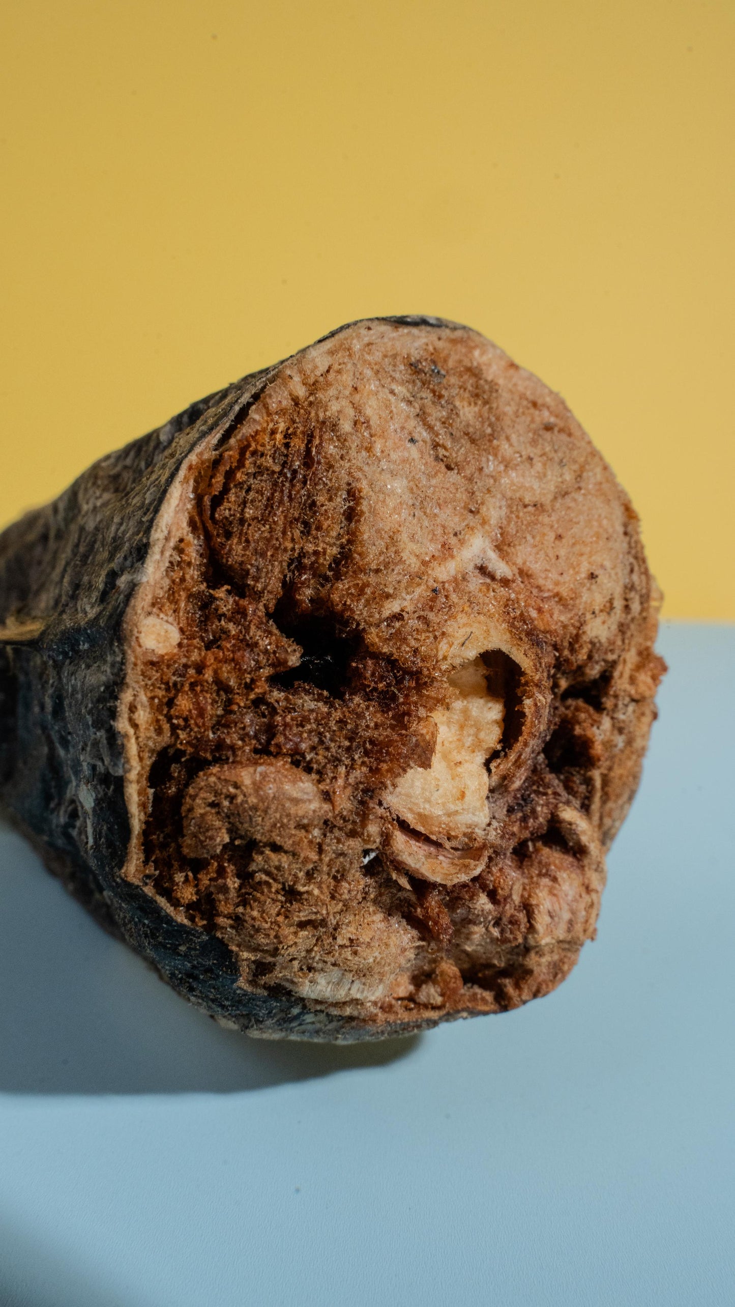 Freeze-Dried Tuna Tails