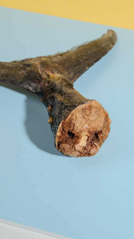 Freeze-Dried Tuna Tails