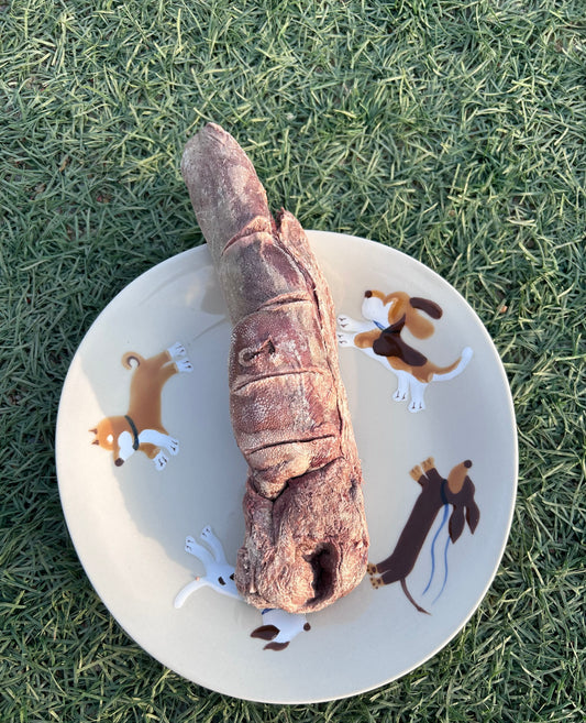 Whole Freeze-Dried Deer Tongue
