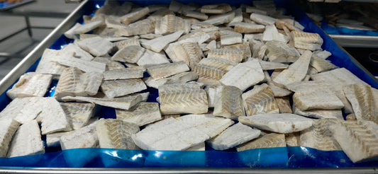 Freeze-Dried Skinless Cod Fish Fillet Slices