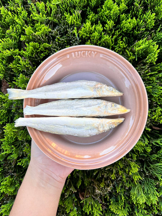 Freeze-Dried Sandfish