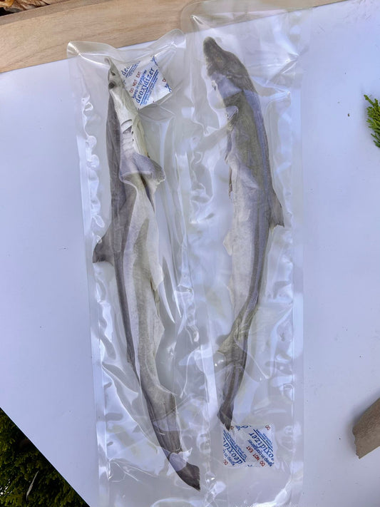 Freeze-Dried Whole Small Shark