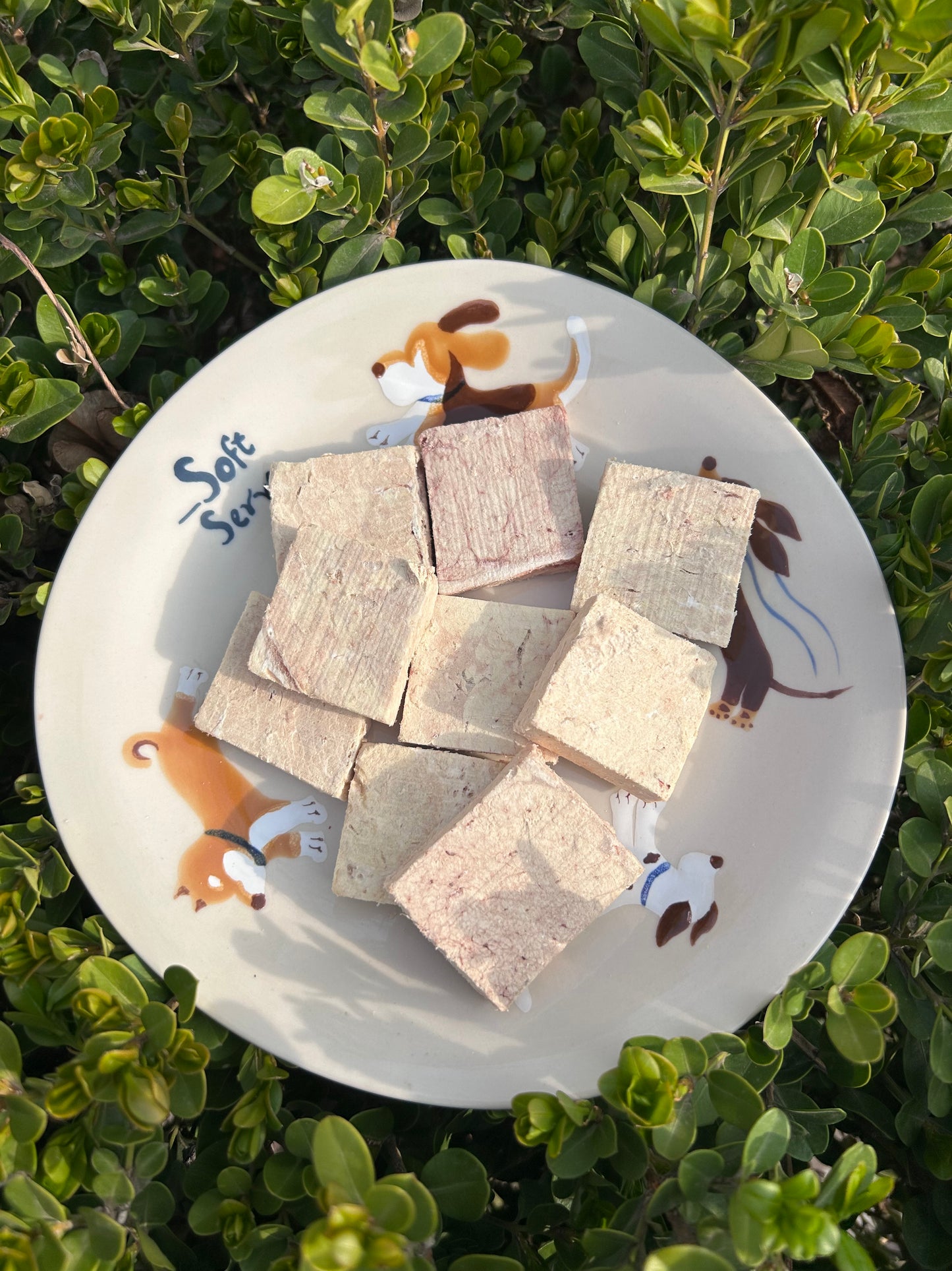 Freeze-Dried Beef Udder