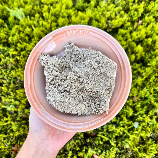 Freeze-Dried Beef Tripe
