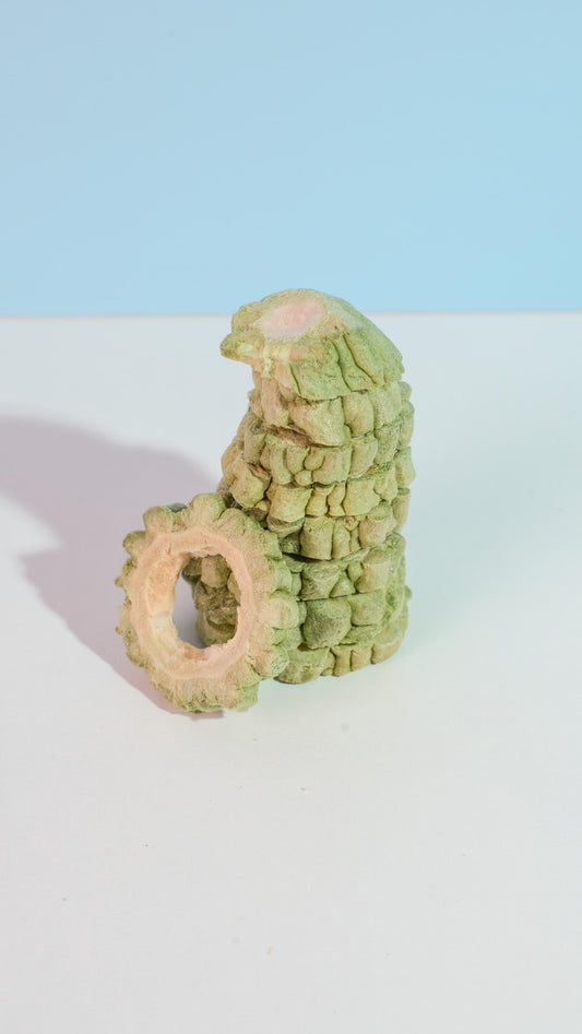 Freeze-Dried Bitter Melon Slices